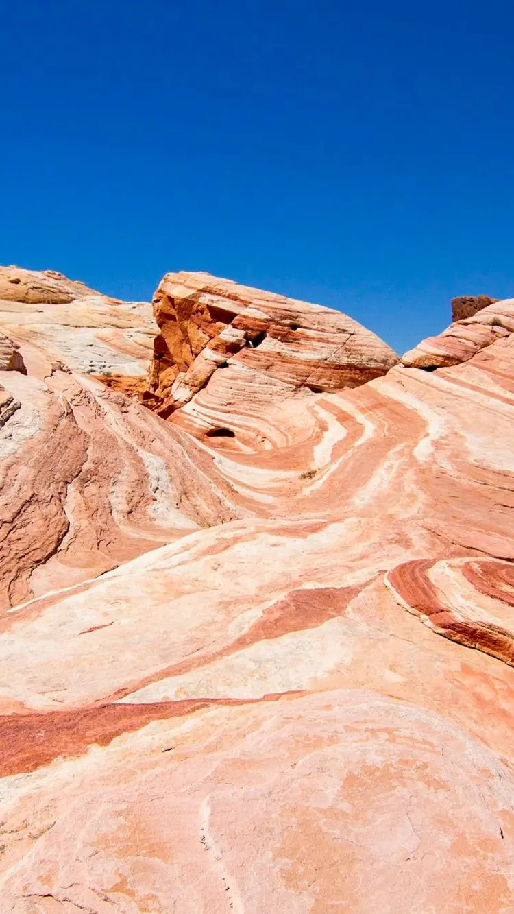 Bands of pink, cream and rust sandstone sweeping across the Fire Wave in Valley of Fire, under a deep blue sky